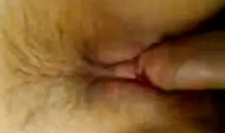 Bịt miệng ở không che nhật nhà